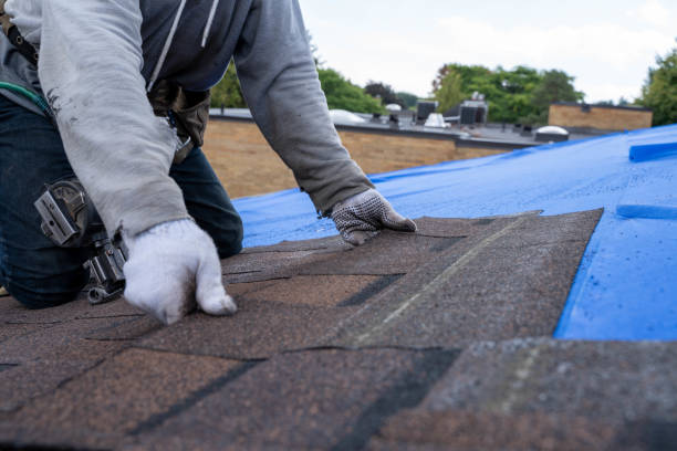 Best Roof Gutter Cleaning  in Marist College, NY